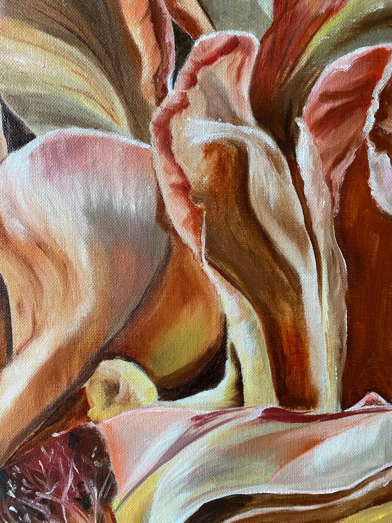 Baroque Rose - Limited Edition Print