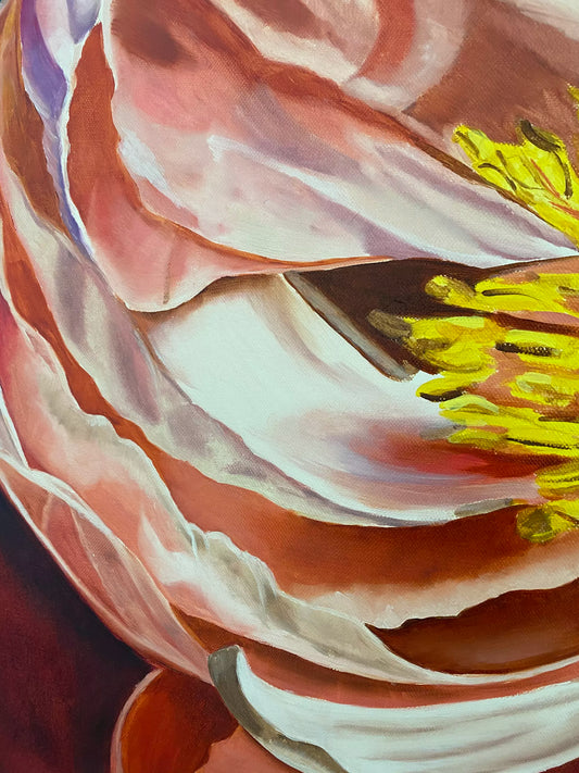 Coral Charm - Limited Edition Print