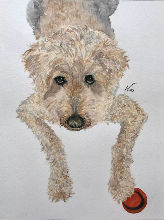 Gidget - Water colour