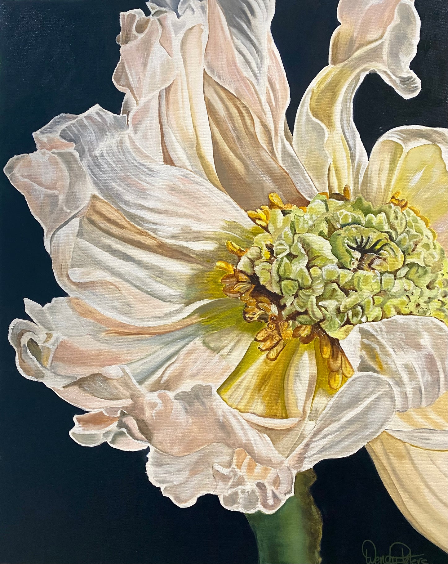 Ltd-Ed-print-Close-up of a white poppy with a dark background. By Wendy Peters