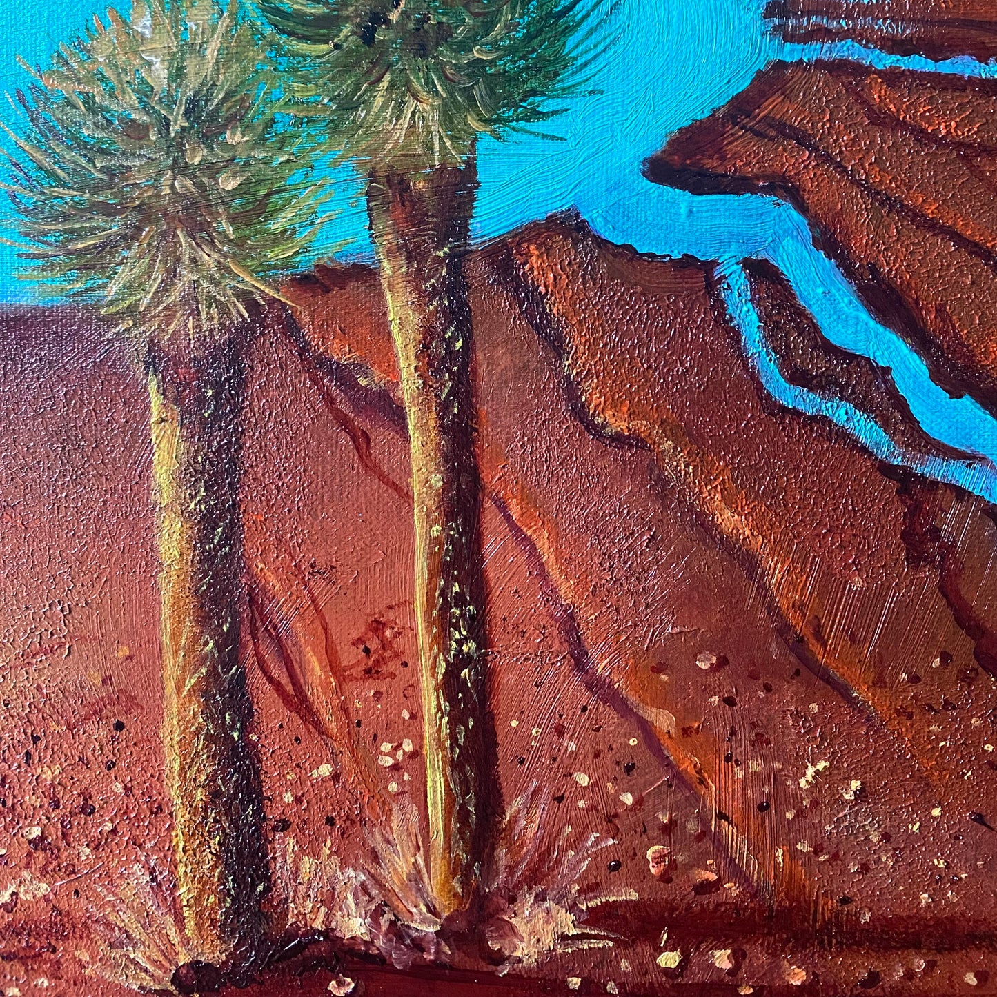 Grass Trees of the Outback - Framed