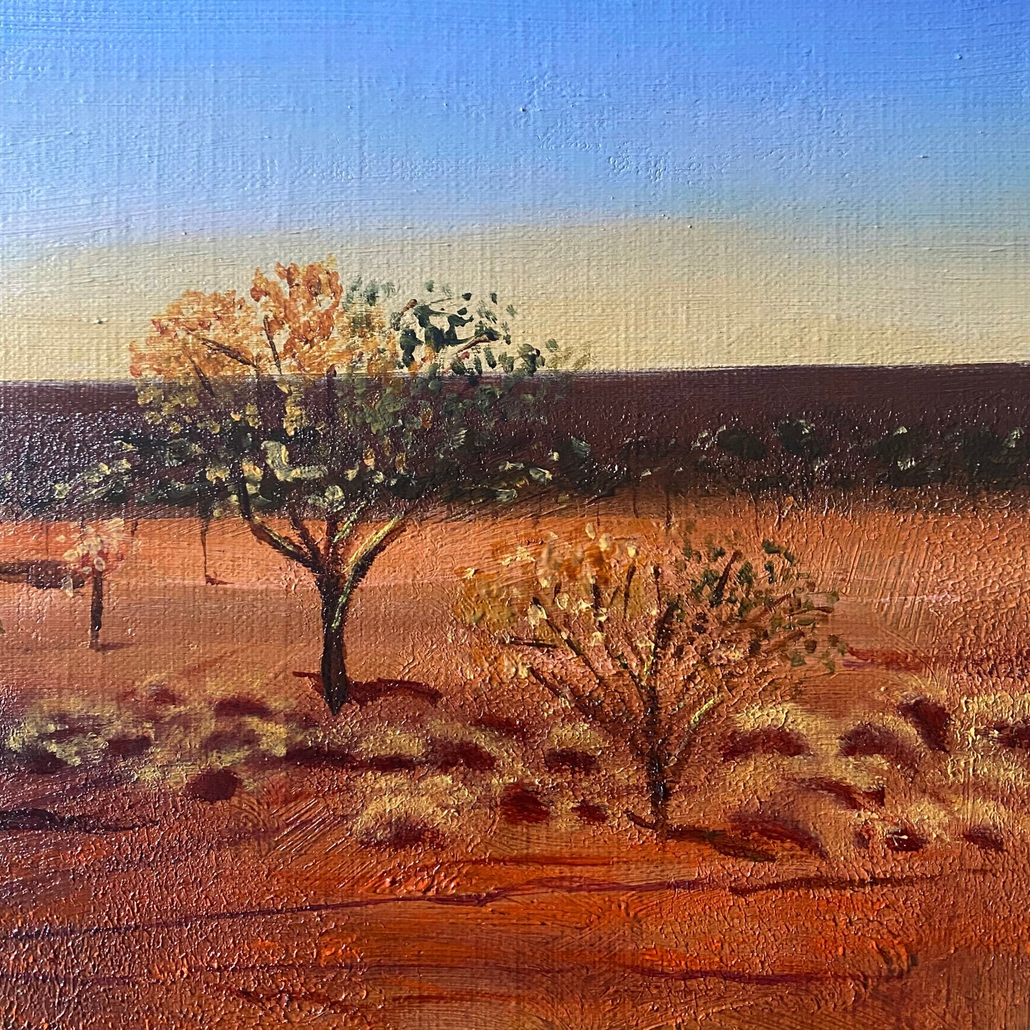 Grass Trees of the Outback - Framed