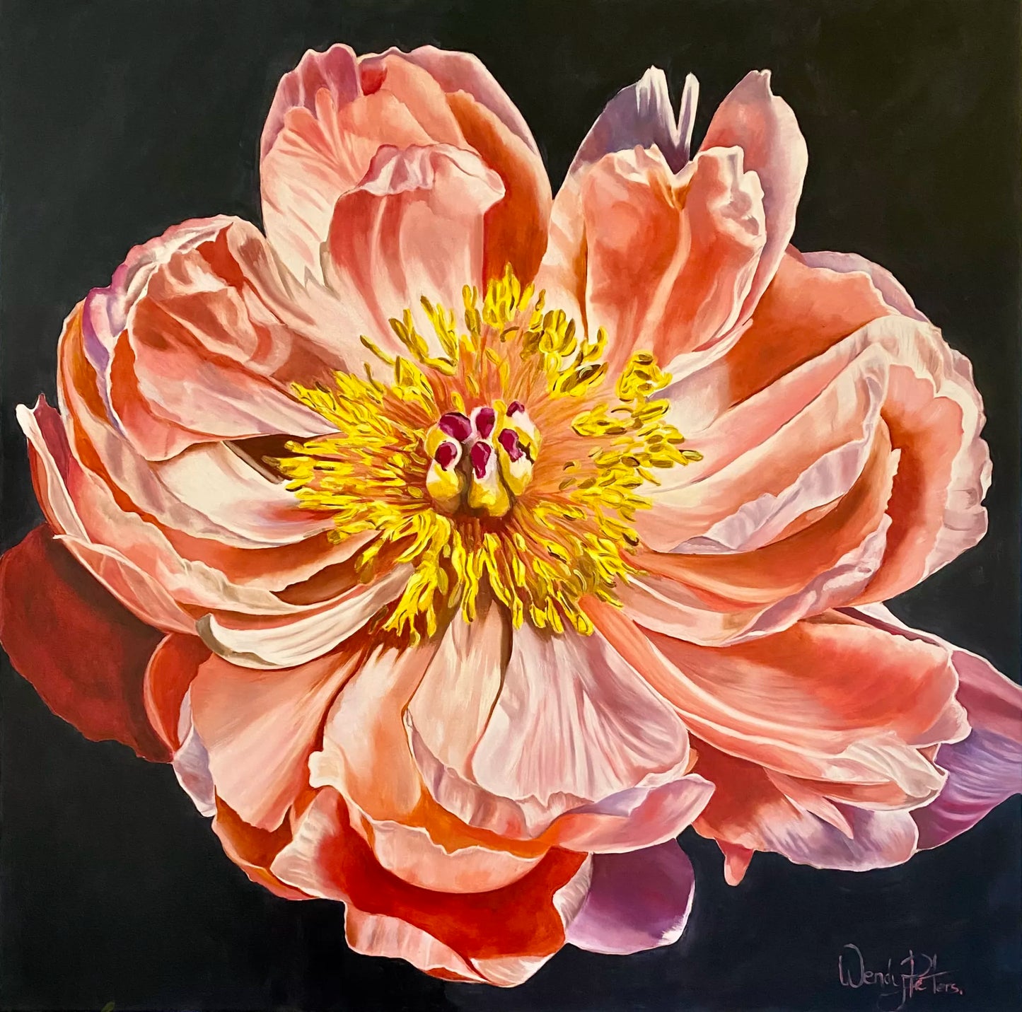 A vibrant limited edition print of a coral charm peony flower with a yellow center, artist signed and titled. by Wendy Peters