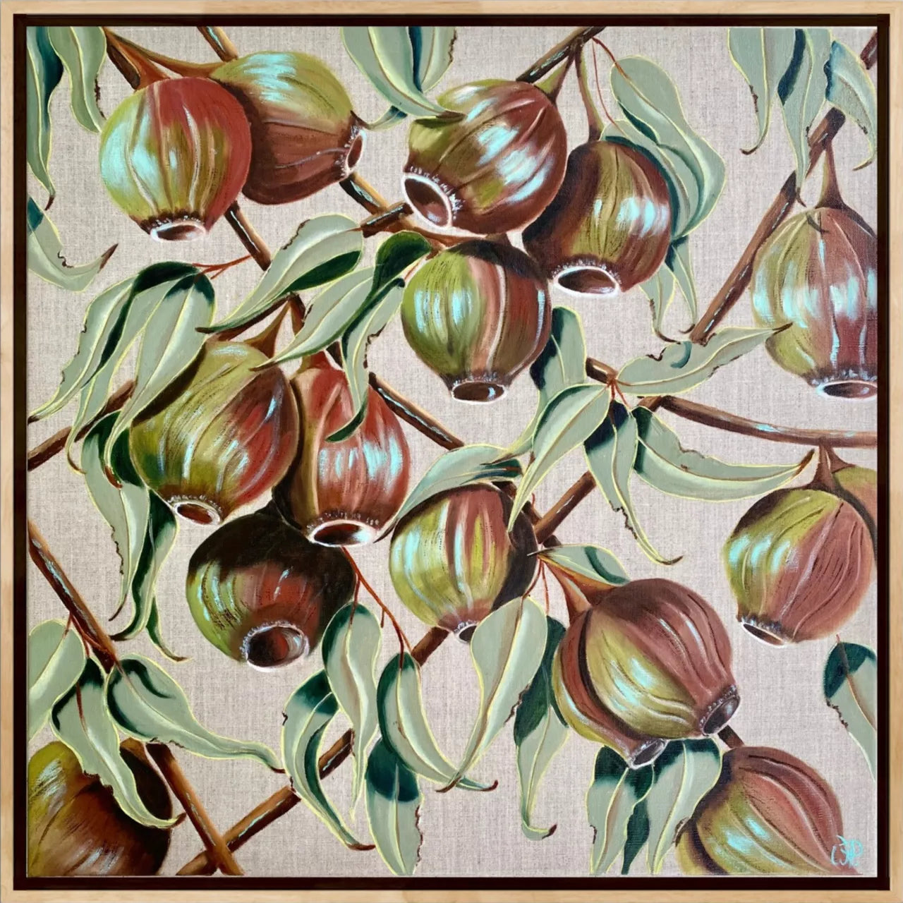 Gum Nut Harvest by Wendy Peters . A detailed depiction of gum nuts, eucalyptus seed pods, with a natural beige linen background. 