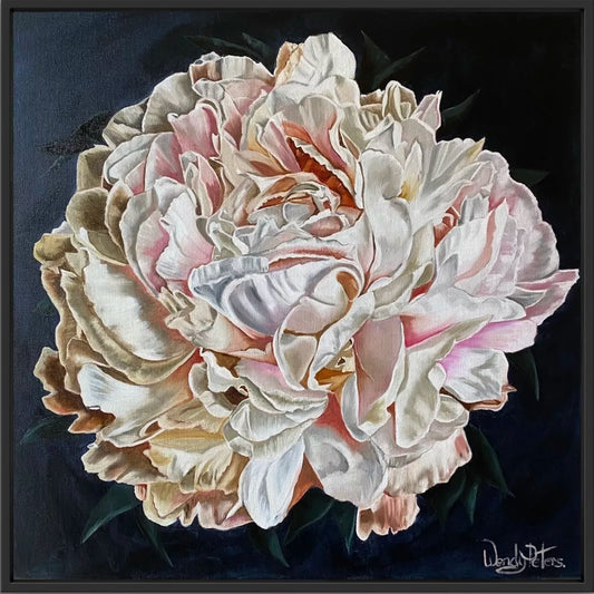 Whispers of Radiance by Wendy Peters. A framed painting depicting a large, pale pink peony flower with a background of dark tones, highlighted by natural light. A stunning statement piece.