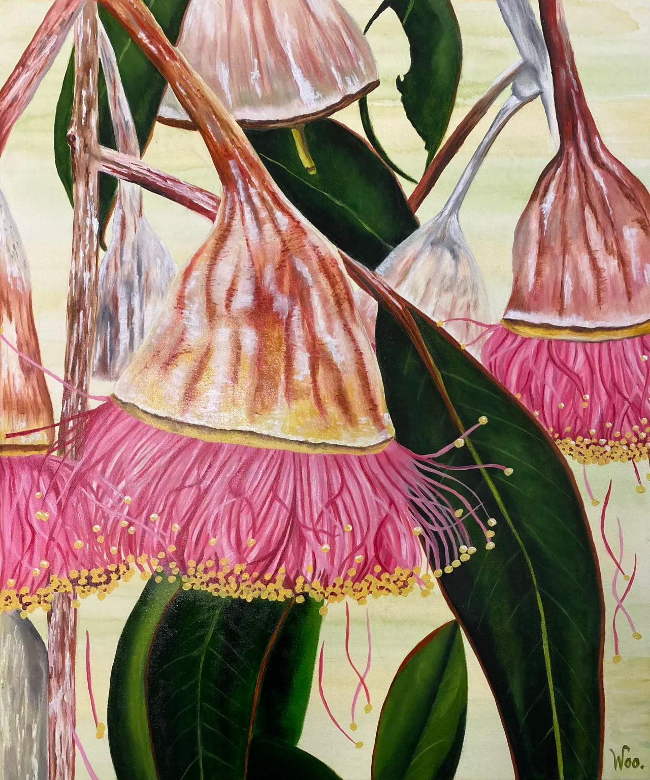Nut in A Tutu featuring native Australian flora by Wendy Peters.  A detailed close-up of pink and white gum nuts with green leaves against a light background. A fun piece for your interior space.
