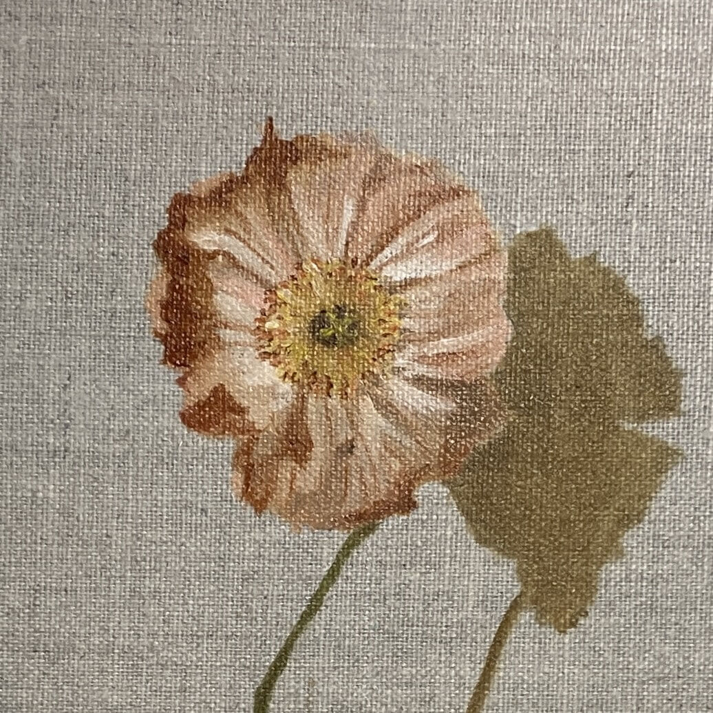 Amber_Poppies_Closeup2_Wendy_Peters