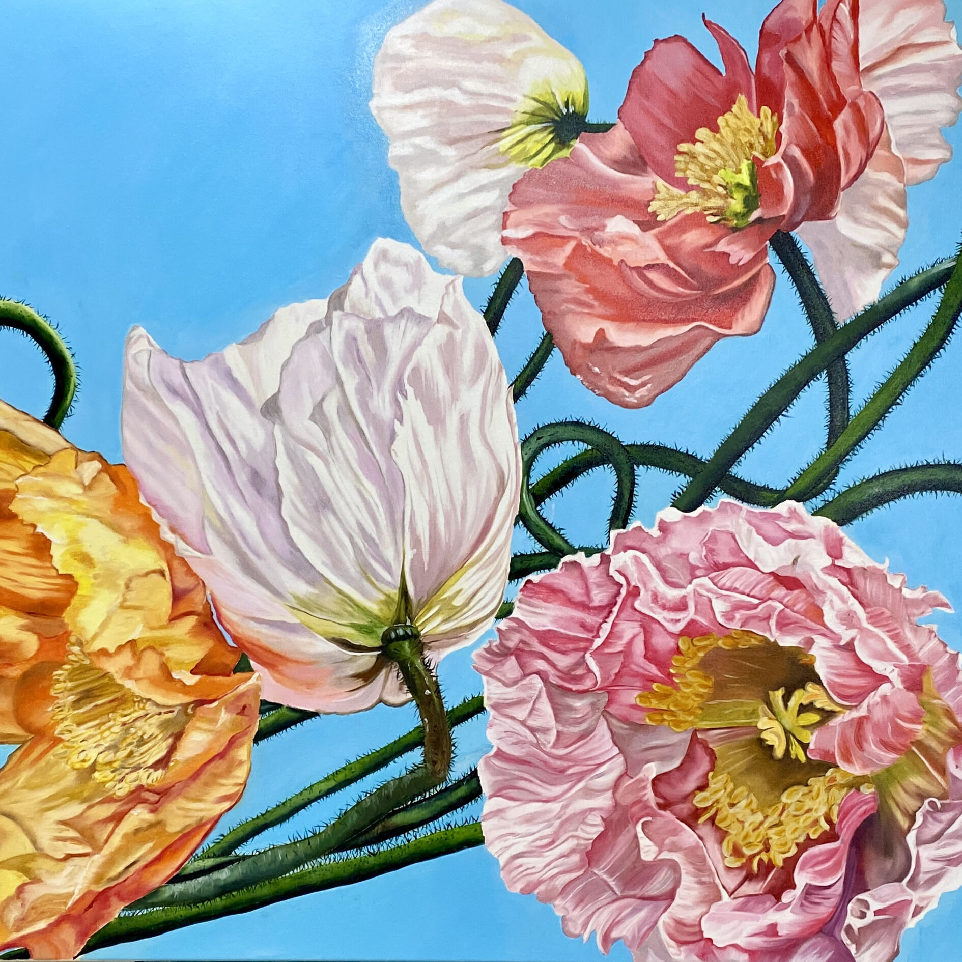 Floating_On_Air_183x91_oil_on_Canvas_Wendy_Peters