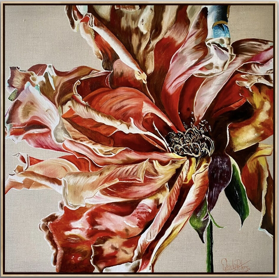 Rose_allure_framed_76x76_oil_linen_11:24_wendy_Peters